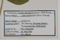 山馬蘭藏品圖，第2張