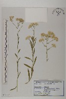 登錄號:S120076藏品圖，第1張