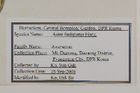 登錄號:S120076藏品圖，第2張