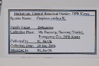 千金榆藏品圖，第2張