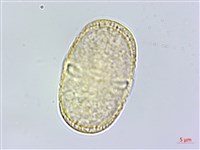 登錄號:S120127藏品圖，第2張