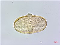 登錄號:S120127藏品圖，第3張