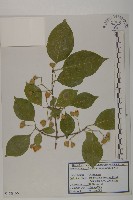 登錄號:S120166藏品圖，第1張