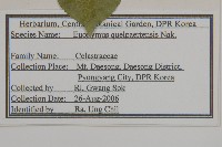 登錄號:S120166藏品圖，第2張