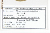 山茱萸藏品圖，第2張