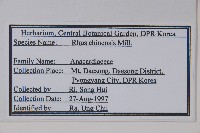 鹽膚木藏品圖，第2張