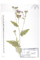 登錄號:S120200藏品圖，第1張