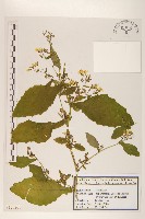 登錄號:S120201藏品圖，第1張