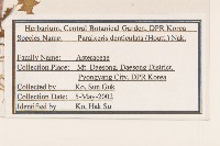 齒緣葉類苦賈菜藏品圖，第2張