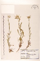 登錄號:S120203藏品圖，第1張