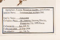 登錄號:S120203藏品圖，第2張