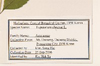 華澤蘭藏品圖，第2張