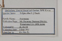 登錄號:S120211藏品圖，第2張