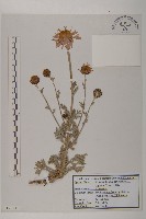 登錄號:S120212藏品圖，第1張