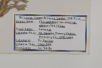 登錄號:S120212藏品圖，第2張