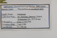 山菊藏品圖，第2張