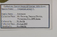 杓兒菜藏品圖，第2張