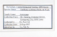 蒼耳藏品圖，第2張