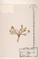 登錄號:S120219藏品圖，第1張