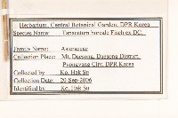 登錄號:S120220藏品圖，第2張