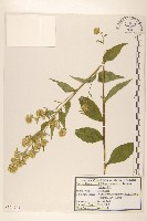 登錄號:S120261藏品圖，第1張