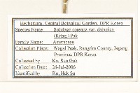 登錄號:S120261藏品圖，第2張