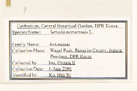 黃菀藏品圖，第2張