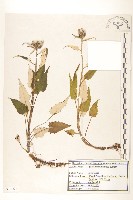 登錄號:S120264藏品圖，第1張