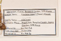 登錄號:S120266藏品圖，第2張