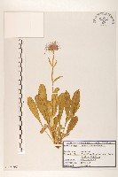 登錄號:S120268藏品圖，第1張