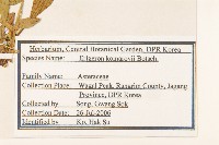 登錄號:S120268藏品圖，第2張