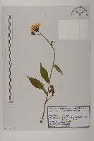 登錄號:S120269藏品圖，第1張