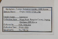 登錄號:S120269藏品圖，第2張