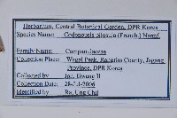 台參藏品圖，第2張