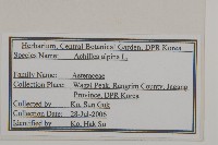 蓍草藏品圖，第2張