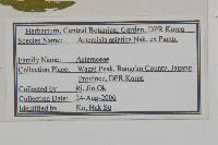 登錄號:S120303藏品圖，第2張