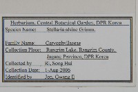 雀舌草藏品圖，第2張