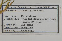 登錄號:S120306藏品圖，第2張