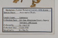 東鳳菜藏品圖，第2張