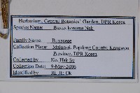 朝鮮黃楊藏品圖，第2張