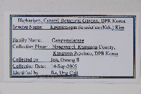 登錄號:S120342藏品圖，第2張