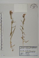 登錄號:S120344藏品圖，第1張