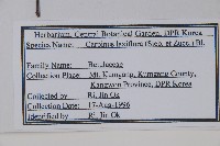 登錄號:S120345藏品圖，第2張