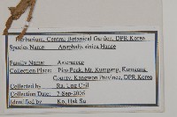 香青藏品圖，第2張