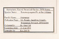 登錄號:S120358藏品圖，第2張