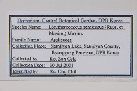 刺五加藏品圖，第2張