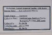 登錄號:S120385藏品圖，第2張