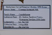 朝鮮莢迷藏品圖，第2張