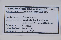 登錄號:S120409藏品圖，第2張