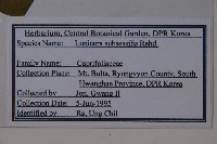 登錄號:S120441藏品圖，第2張